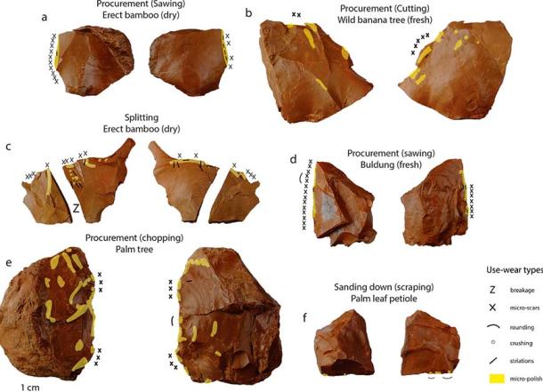 Stone tools analyzed in the study. The wear marks show evidence of sawing, splitting, and chopping of plant fibers. (Xhauflair H, Jago-on S, Vitales TJ, Manipon D, Amano N, Callado JR, et al. (2023), Plos One)