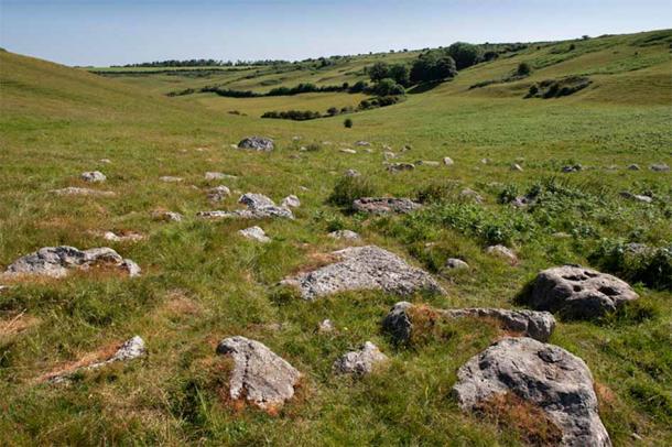Stones scatter the earth in the Valley of Stones in Dorset, England. (Historic England)