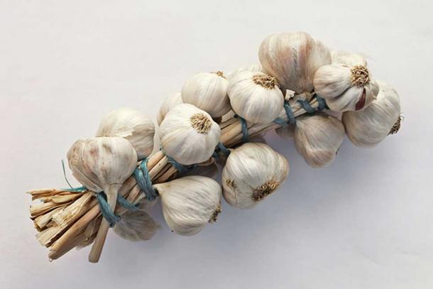 String of garlic, used to protect against vampires.