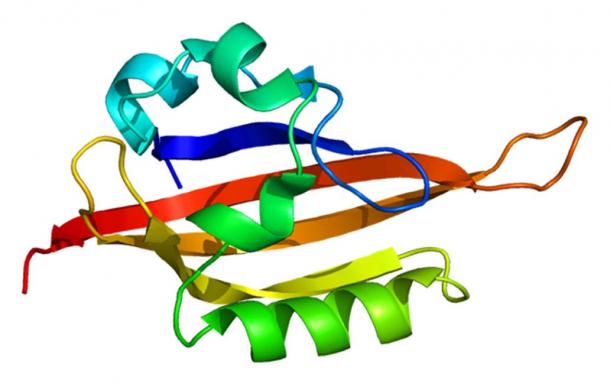 Structure of EPAS1