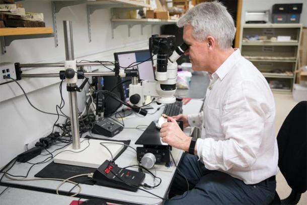 Sturt Manning examining a sample in the Cornell Tree Ring Laboratory. (Image: Chris Kitchen/Cornell University/CC BY-ND )