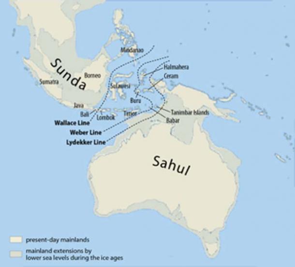 Sundaland is a biogeographical region of Southeastern Asia corresponding to a larger landmass that was exposed throughout the last 2.6 million years during periods when sea levels were lower. (Chumwa / CC BY-SA 3.0)