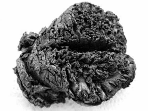 Superior view of fronto-temporal structures of the brain. 