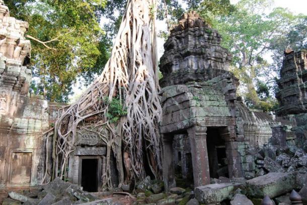 Известният вход „Tomb Raider“, храмът Ta Prohm, Ангкор, Камбоджа. 