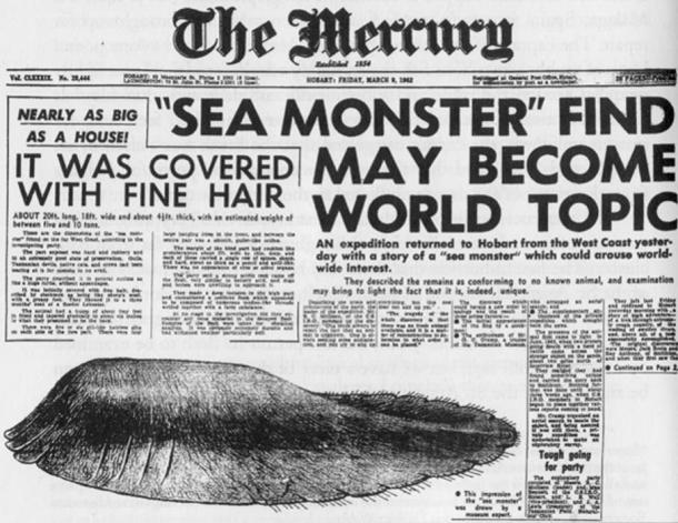 Tasmanian Carcass of 1960.