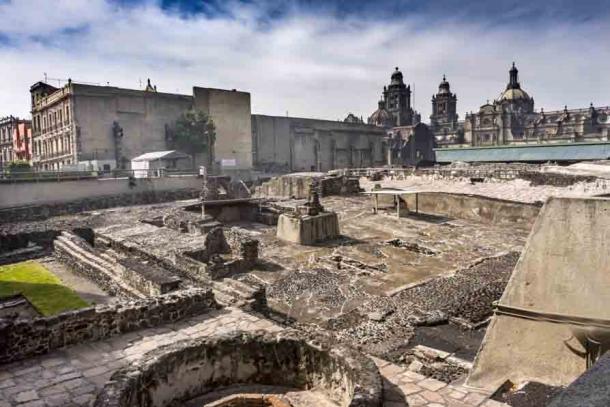 El bajorrelieve del águila real fue descubierto durante las excavaciones en el Templo Mayor en el centro de la Ciudad de México. (Bill Perry/Adobe Stock)