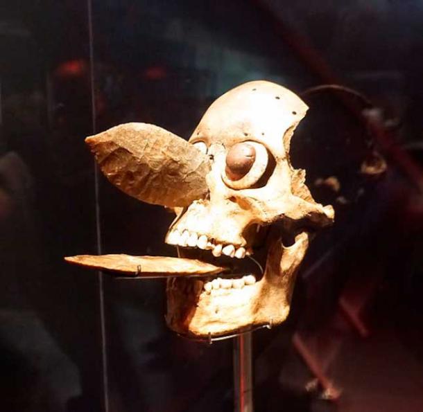 Skull mask from Templo Mayor in Tenochtitlan. It was made in the 15th century from the skull of a defeated elite warrior, two flint blades, sea shell, and pyrite. It was probably part of a ceremonial headdress or belt. Collection Museo del Templo Mayor, Mexico City (10-162934). (Arjuno3 / CC by SA 4.0)