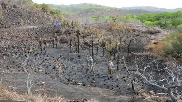 Terraced ancient banana cultivation earthworks at the Wagadagam site. (Australian National University)