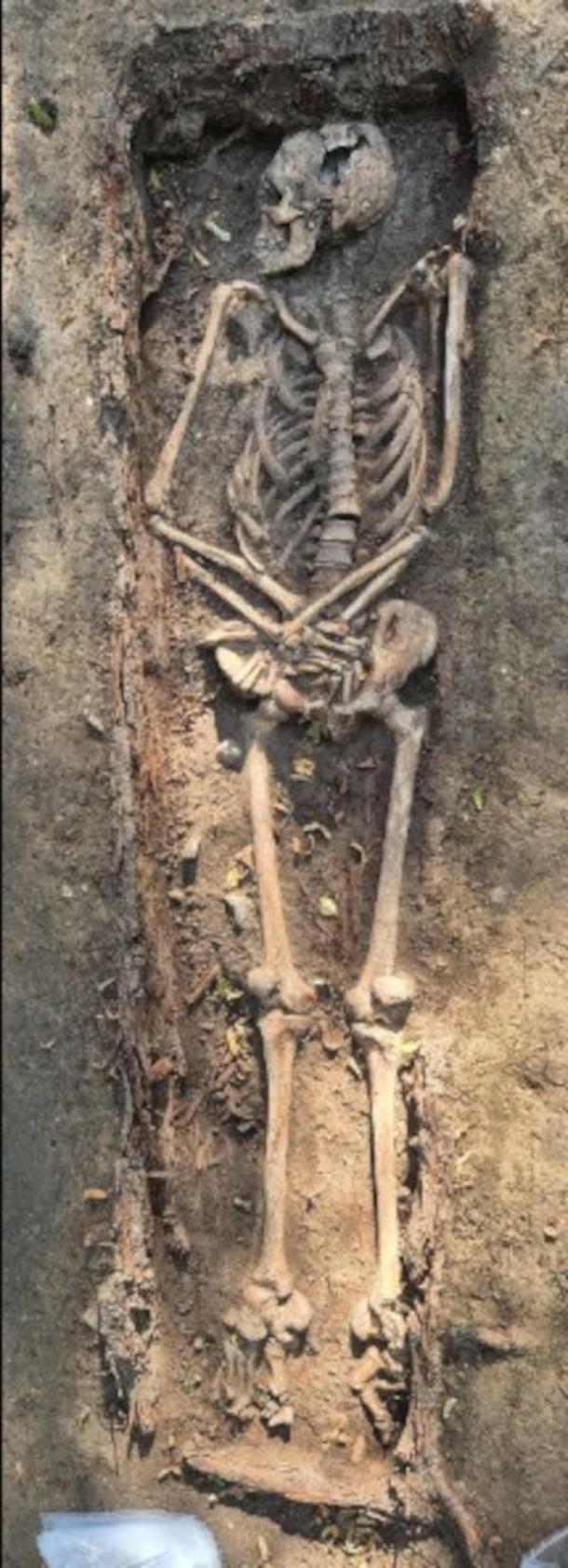 The ‘respectfully buried person’ was possibly result of suicide. (State Office for Monument Preservation and Archaeology of Saxony-Anhalt)