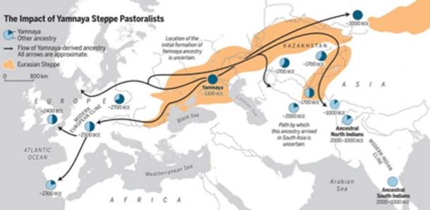 The Bronze Age spread of Yamnaya Steppe pastoralist ancestry into two subcontinents—Europe and South Asia. (Science / Fair Use)