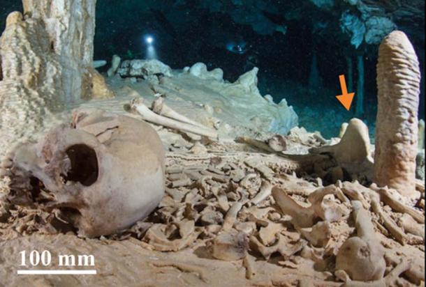 The Chan Hol II archaeological site prior to looting. The arrow points to the CH-7 stalagmite analyzed by the researchers. 