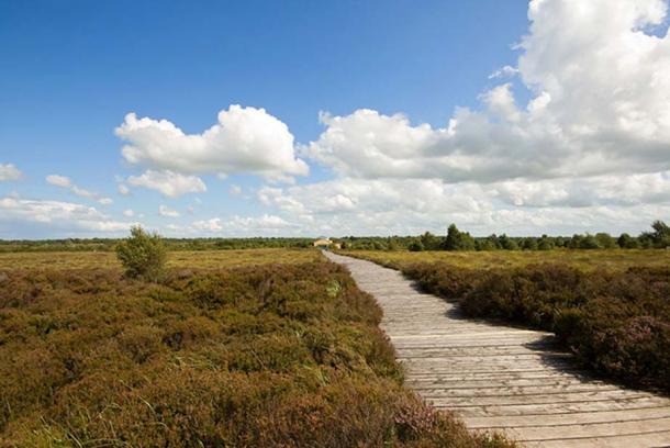The Corlea Trackway (reconstructed boardwalk) in County Longford, Ireland. (CC BY 2.0)