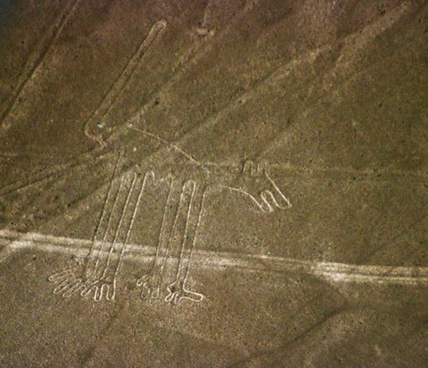 The Nasca lines figure known as the dog.