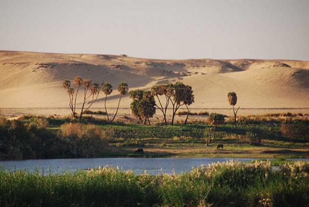 the role of the nile river in the shaping of the egyptian life The gift of the nile: part 1: analyzing documents and primary sources what role did geography play in the everyday -the picture was created to show what egyptian life was like # life along the nile – nile river& (ushistoryorg) . the role of the nile river in the shaping of the egyptian life The gift of the nile: part 1: analyzing documents and primary sources what role did geography play in the everyday -the picture was created to show what egyptian life was like # life along the nile – nile river& (ushistoryorg) .
