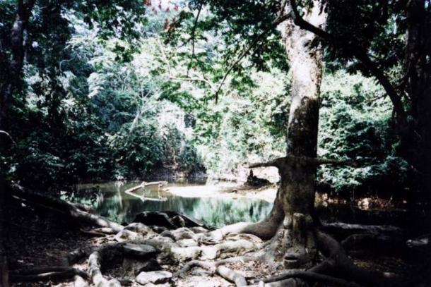 The Osun-Osogbo Sacred Grove