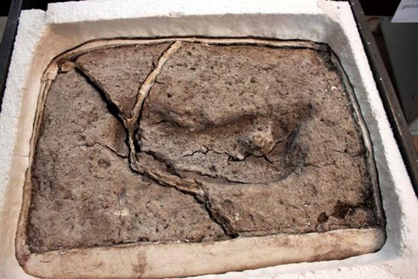 The Pleistocene footprint is the oldest surviving human footprint in the Americas. (Universidad Austral de Chile)