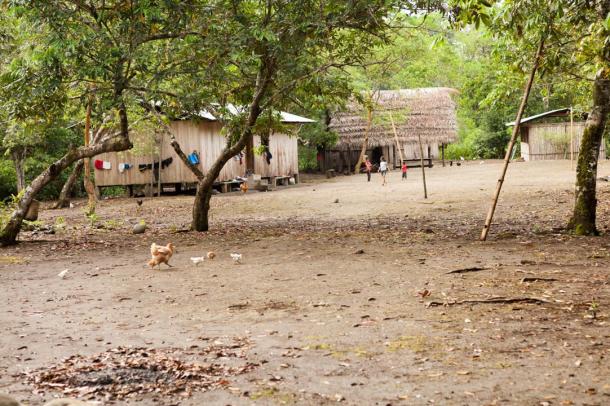The Shuar camp with kids playing happily and chickens roaming freely