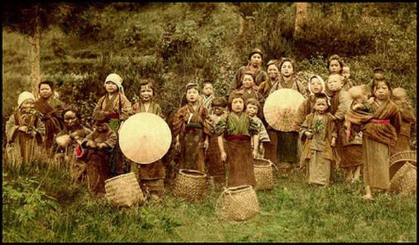 The Tea Pickers. Child Labor in 19th century Japan. The above photo was accompanied by these words written in 1897: 