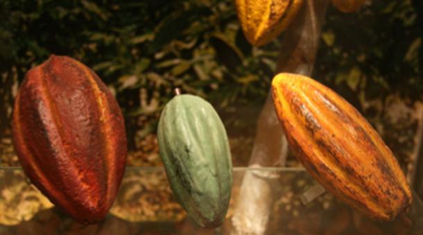 The Timoto-Cuica traded agriculture products with tribes around them. (Tamorlan / CC BY-SA 3.0)