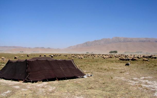 The Yamnaya were pastoral nomads. (Hamed Saber / CC BY-SA 2.0)