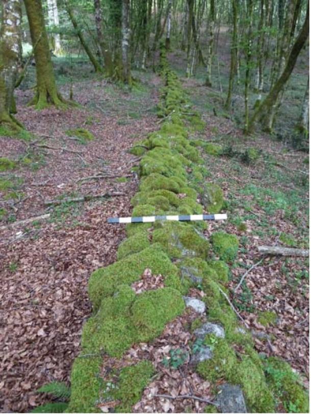 The ancient Roman wall in Calabria, Italy, which has been found to be used to trap Spartacus. (Archaeological Institute of America)