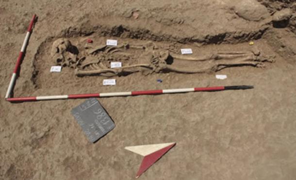 The ancient murder victim was discovered in a mass grave. (Anagnostis Agelarakis / Adelphi University)