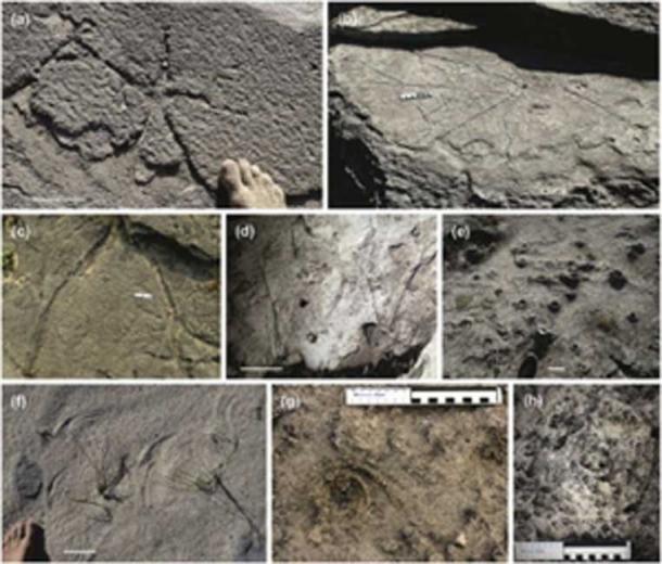 The ancient patterns are being studied from sample and photos taken. (Science Direct)