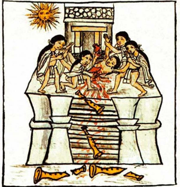 The body of a young man offered to Tezcatlipoca Huitzilopochtli found at the Aztec Royal Burial site. (PauloCalvo / Public Domain)
