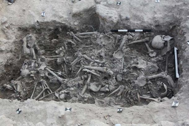 The bones of the Crusaders, from which the Crusaders’ DNA was taken, found in a burial pit in Sidon, Lebanon. (Claude Doumet-Serhal / Fair Use)
