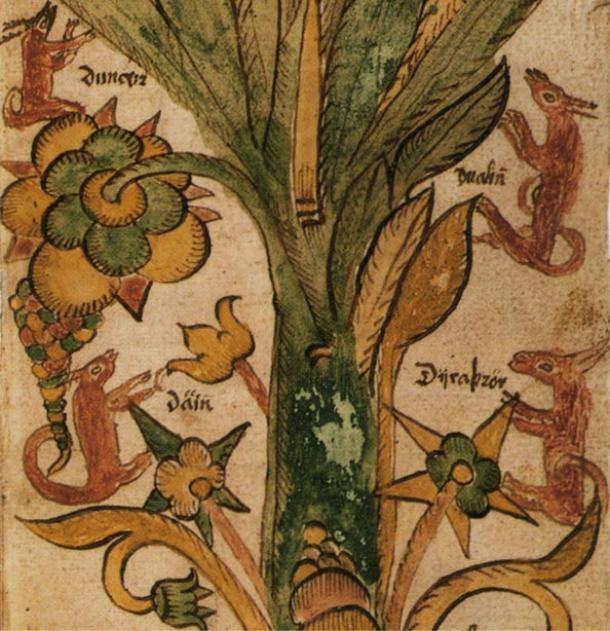 Os quatro veados de Yggdrasill. Manuscrito islandês do século 17