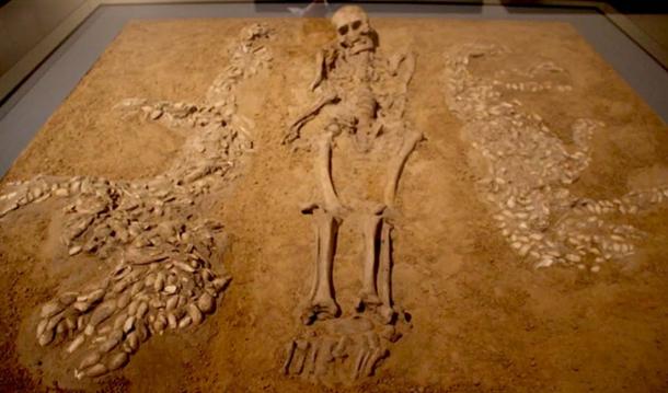 The human bones found in the Amazonia settlement were preserved due the fragments of shells buried with the body. (Ismoon / CC BY-SA 4.0)