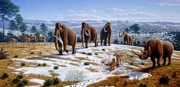 The image depicts a late Pleistocene landscape in northern Spain with woolly mammoths (Mammuthus primigenius), equids, a woolly rhinoceros (Coelodonta antiquitatis), and European cave lions (Panthera leo spelaea) with a reindeer carcass. (Information according to the caption of the same image in Alan Turner (2004) National Geographic Prehistoric Mammals, Washington, D.C. (Mauricio Antón/CC BY 2.5)
