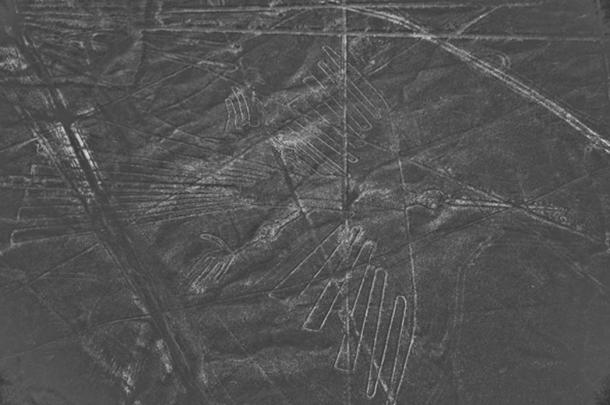 The images are fragile as they are made by moving the black rocks to reveal the white sand underneath. Further movement of the rocks is detrimental to the images.