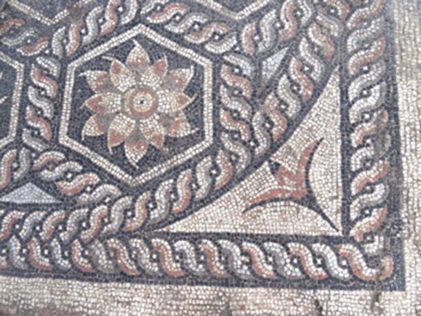 The mosaic included many floral designs. (Ministry of Antiquities / Facebook)