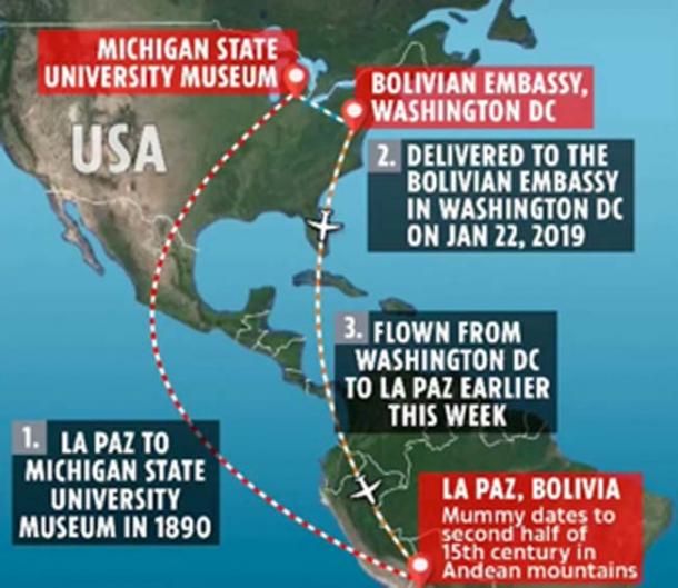 The mummy’s trip home. (Tintuzlife / YouTube)