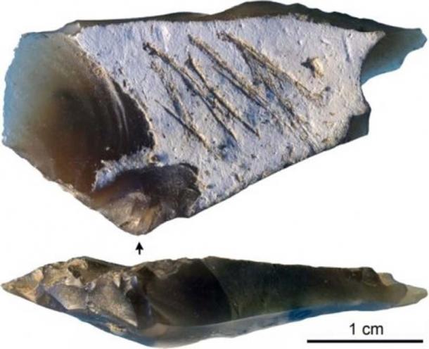 The new methodology hopes to establish the causal actions of such markings as found on this flint from Kiik Koba. Image: Majkic et al (2018)/ (CC BY 4.0)
