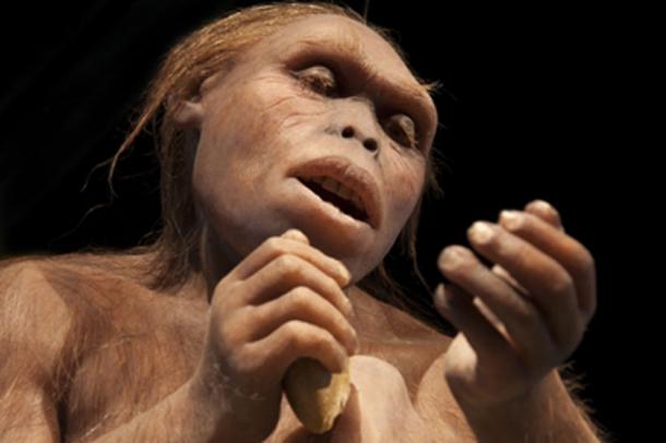 The new study shows that the reduction of Neanderthal fertility may be tied to a lack of food. (procy_ab / Adobe Stock)