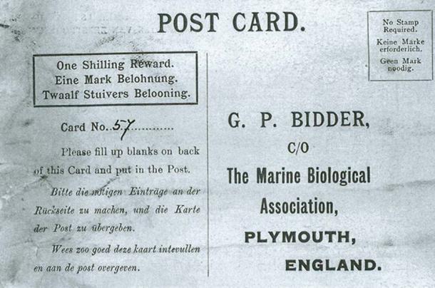 The postcard in Bidder’s message in a bottle, the oldest of its kind.