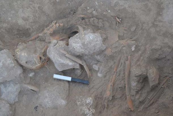 The remains found just outside the industrial room were preserved by stones that collapsed on top of the body 