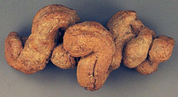 The sample of fossilized coprolite was discovered in the Lower Pecos Canyonlands of southwest Texas. (Natuur12 / CC BY-SA 2.0 )