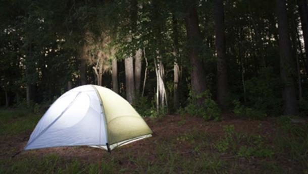 The shooter claimed his campsite was damaged by Bigfoot. (Guy Sagi / Adobe Stock)
