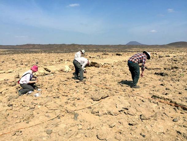 The site where most of the stone artifacts at Wadi Dabsa were found. The site is now part of a barren desert. It used to have a wetter climate that supported plants and wildlife.