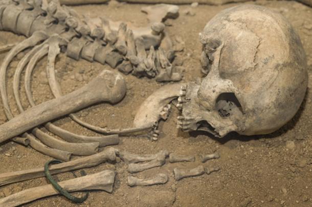 The skeleton of a Neanderthal. (gerasimov174 / Adobe)