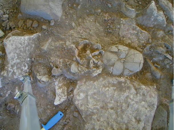The skulls of the two second generation individuals in the right branch, FRA022 and FRA023, placed beside a limestone slab covering the ancestral individual, FRA021. (Karl-Göran Sjögren/Nature)