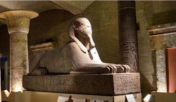 The sphinx previously located in                  Egypt Gallery at Penn Museum. (Penn Museum)