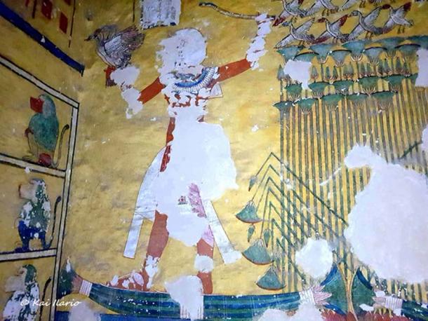 The tomb of Aye (WV23) was vandalized in antiquity: funerary treasures of the king were looted, paintings depicting him were chiseled out, his sarcophagus was smashed to smithereens; and his mummy went missing. It is believed that this crypt was originally intended for Tutankhamun.
