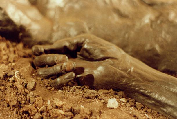 The well preserved hand of Grauballe Man. (Sven Rosborn / Public Domain)