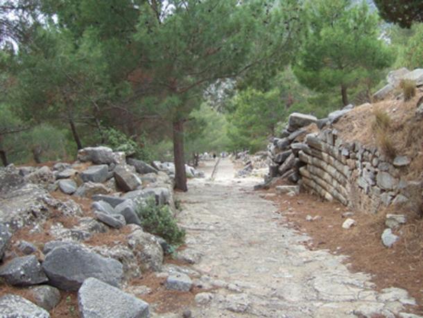 The western part of the main street, Western Gate Street, with drainage. (Peterdhduncan / Public Domain)