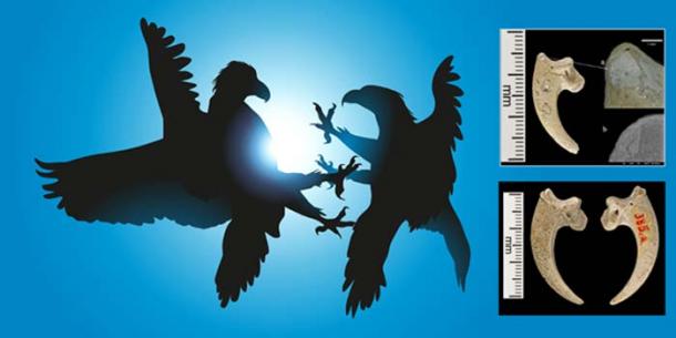 There is evidence that Neanderthals performed ritual burials and used the eagle talons, demonstrating that the species had a special meaning to them. (Left, pict rider; Right, Luka Mjeda, Zagreb)