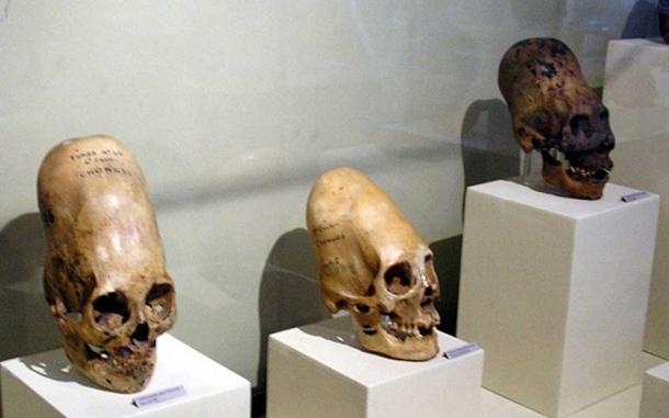 These skulls are on display at Museo Regional de Ica in the city of Ica in Peru.